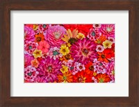 Flower Pattern With Large Group Of Flowers, Sammamish, Washington State Fine Art Print