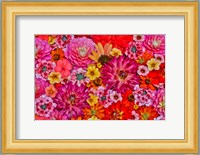 Flower Pattern With Large Group Of Flowers, Sammamish, Washington State Fine Art Print
