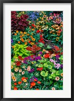 Garden In Full Bloom, Sammamish, Washington State Fine Art Print