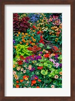Garden In Full Bloom, Sammamish, Washington State Fine Art Print