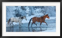 Horses Crossing Shell Creek In Winter, Wyoming Fine Art Print