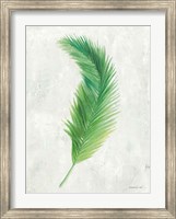 Palms of the Tropics VI Fine Art Print
