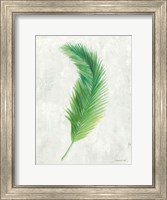 Palms of the Tropics VI Fine Art Print