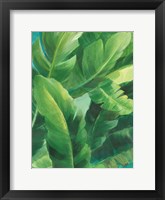 Palms of the Tropics II Fine Art Print