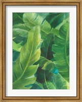 Palms of the Tropics I Fine Art Print