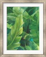 Palms of the Tropics I Fine Art Print