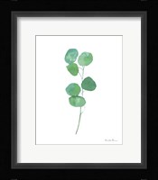 Fresh and Green VIII Framed Print