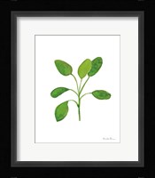 Fresh and Green VII Framed Print