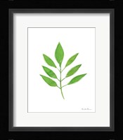 Fresh and Green VI Framed Print