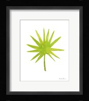 Fresh and Green V Framed Print