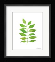 Fresh and Green IV Framed Print