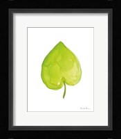 Fresh and Green III Framed Print