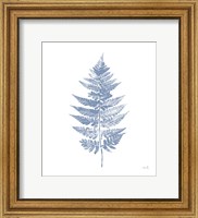 Fern Print I Blue No Shiplap Fine Art Print