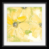 Sunshine Cosmos II v2 Framed Print