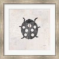 Ladybug Stamp BW Fine Art Print