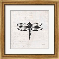 Dragonfly Stamp BW Fine Art Print