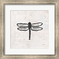 Dragonfly Stamp BW Fine Art Print