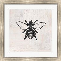 Bee Stamp BW Fine Art Print