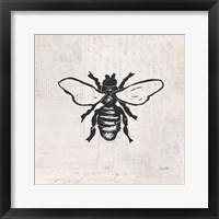 Bee Stamp BW Framed Print