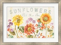Floursack Autumn IX Sunflowers Fine Art Print