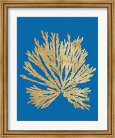 Pacific Sea Mosses II Blue Fine Art Print