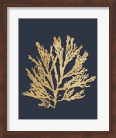 Pacific Sea Mosses I Indigo Fine Art Print