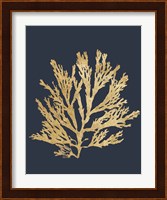 Pacific Sea Mosses I Indigo Fine Art Print