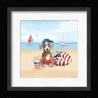 Summer Paws Patriotic III Framed Print