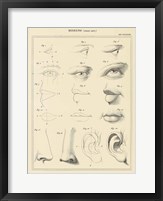 Face Chart Fine Art Print