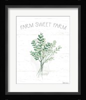 Farmhouse Cotton V Sage Framed Print
