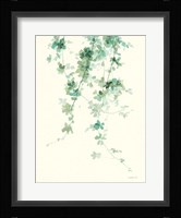 Trailing Vines II Fine Art Print
