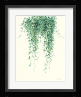 Trailing Vines I Fine Art Print