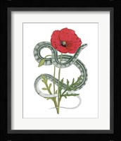 Natural Beauty I Fine Art Print