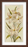 Elegant White Florals II Fine Art Print