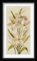 Elegant White Florals II Framed Print