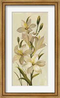 Elegant White Florals I Fine Art Print