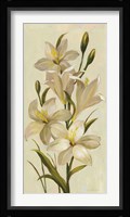 Elegant White Florals I Framed Print