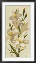 Elegant White Florals I Fine Art Print