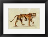 Walking Tiger Fine Art Print