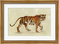 Walking Tiger Fine Art Print