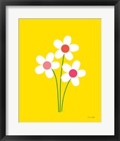 Daisies II Framed Print