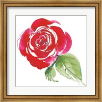Bold Roses III Fine Art Print