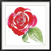 Bold Roses III Fine Art Print