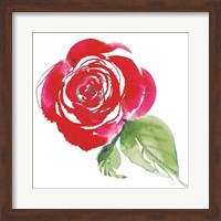 Bold Roses III Fine Art Print