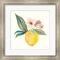 Citrus Summer IV Fine Art Print