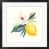 Citrus Summer III Fine Art Print