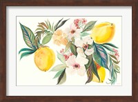 Citrus Summer I Fine Art Print