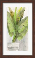 Tropical Planter II Fine Art Print