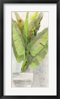 Tropical Planter II Fine Art Print