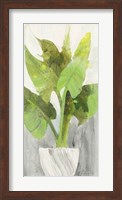 Tropical Planter I Fine Art Print